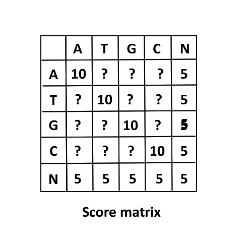 score matrix